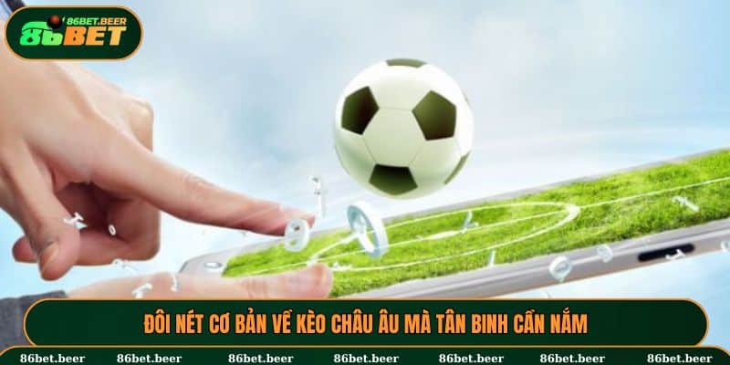 Kèo Châu Âu - Cú Hích Kiếm Tiền Nhanh Chóng Cho Tân Thủ 5 Khái quát thông tin về kèo châu Âu cho tân thủ