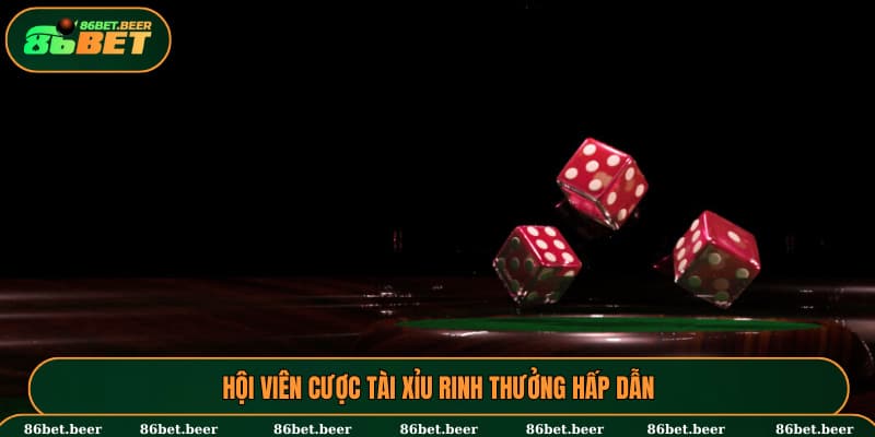 Hội viên cược tài xỉu rinh thưởng hấp dẫn