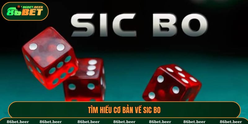 Tìm hiểu cơ bản về Sic Bo